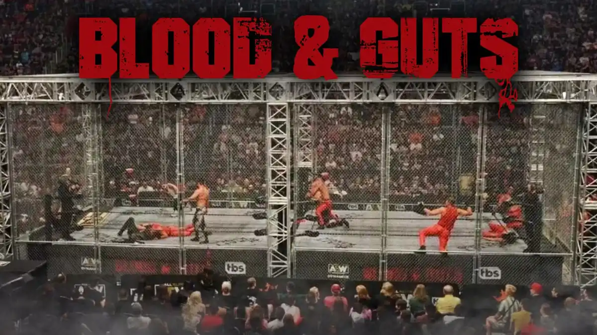 Blood and Guts Match