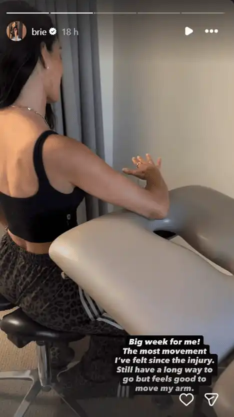 Brie Bella