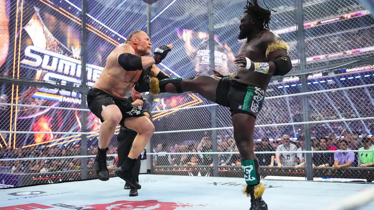 Brock Lesnar vs. Oba Femi
