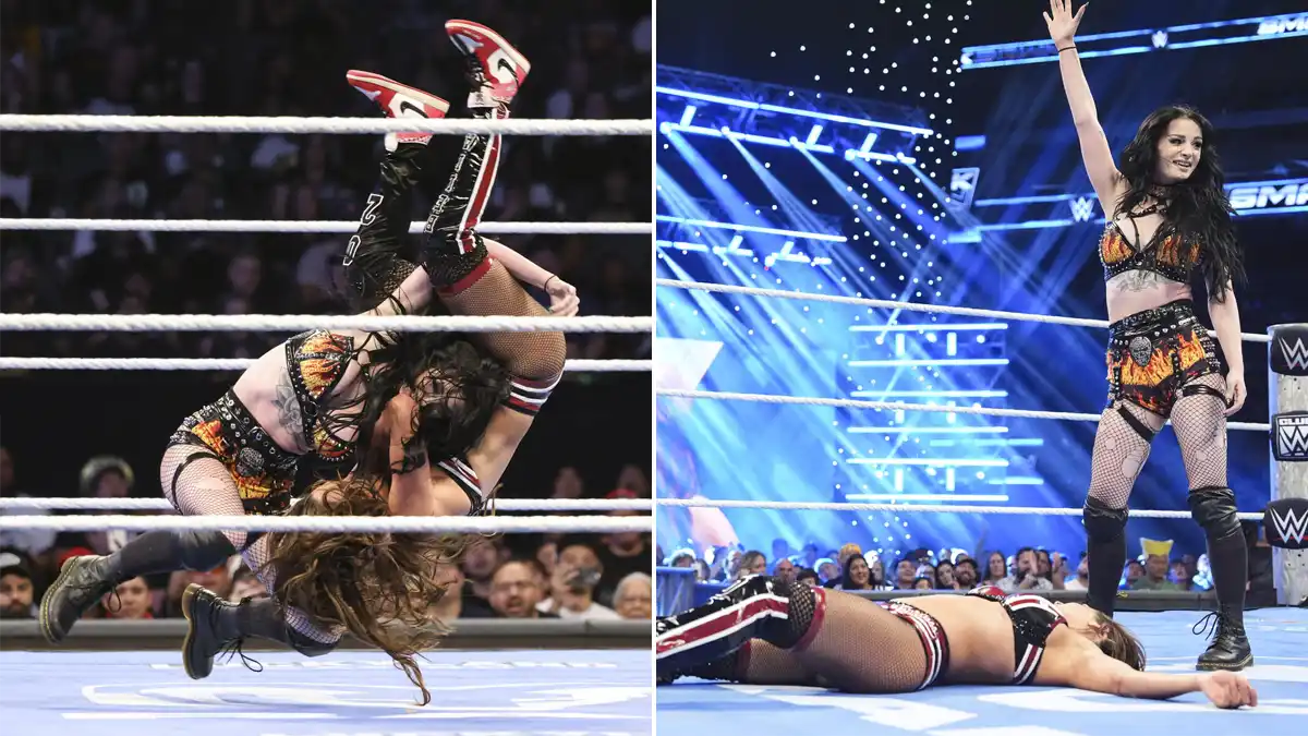 Paige vs. Nikki Bella
