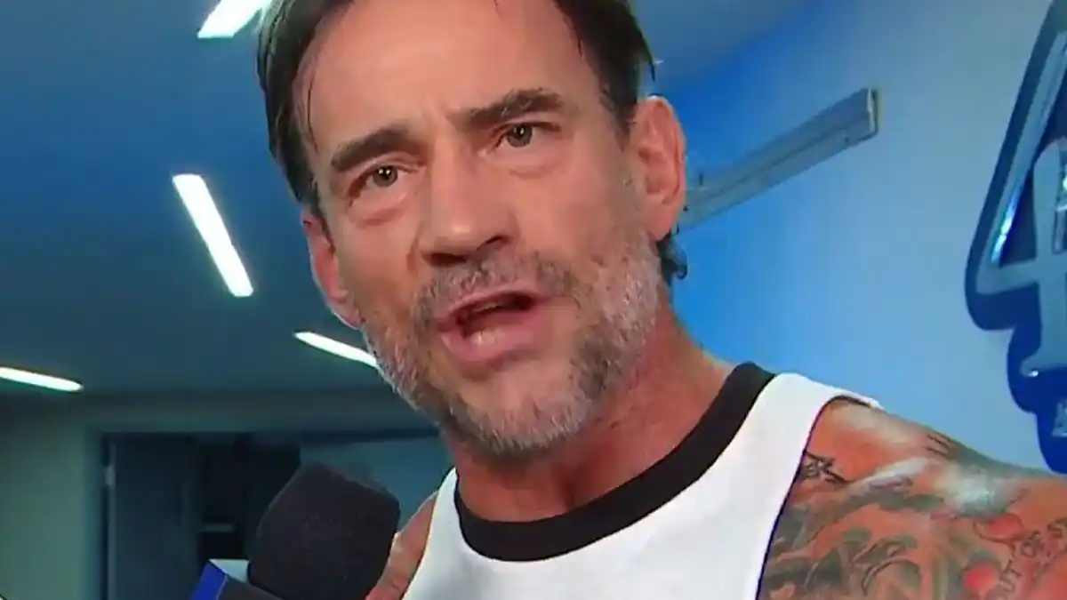 CM Punk