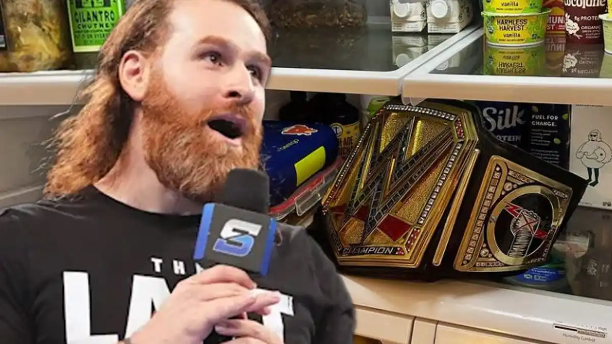 Sami Zayn