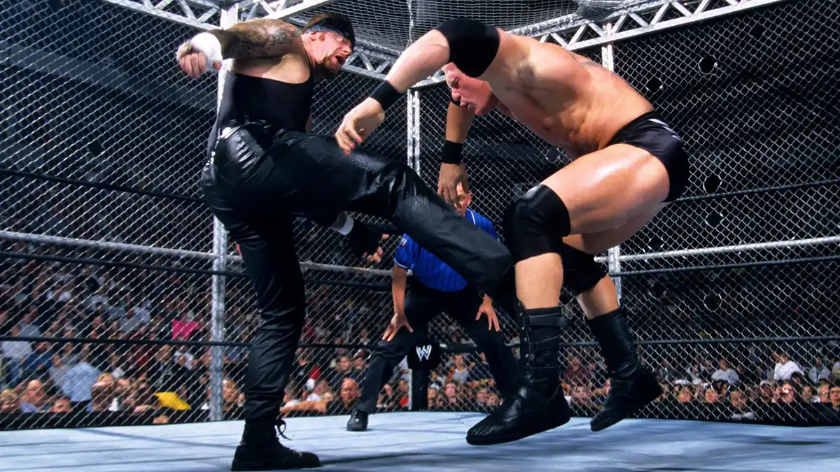 Undertaker vs. Brock Lesnar