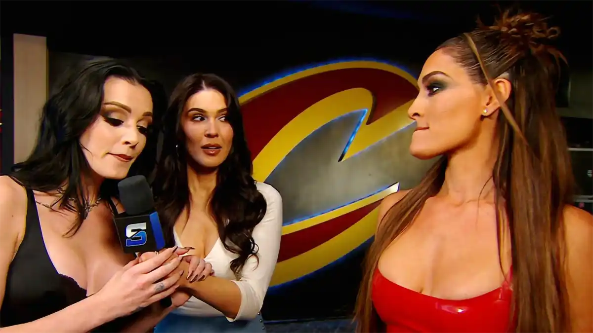 Paige vs. Nikki Bella