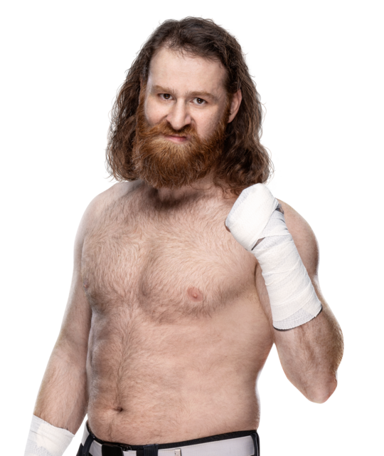 Sami Zayn