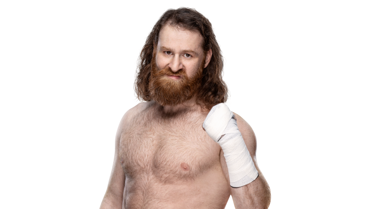 Sami Zayn