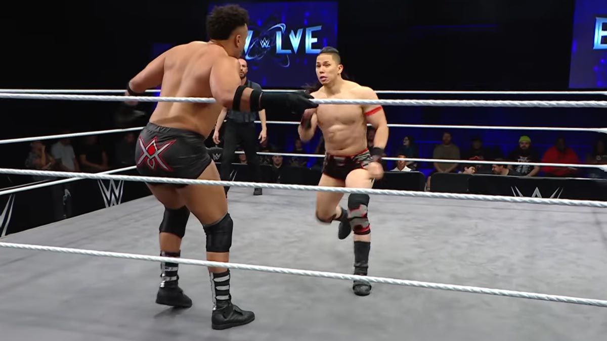 WWE Evolve