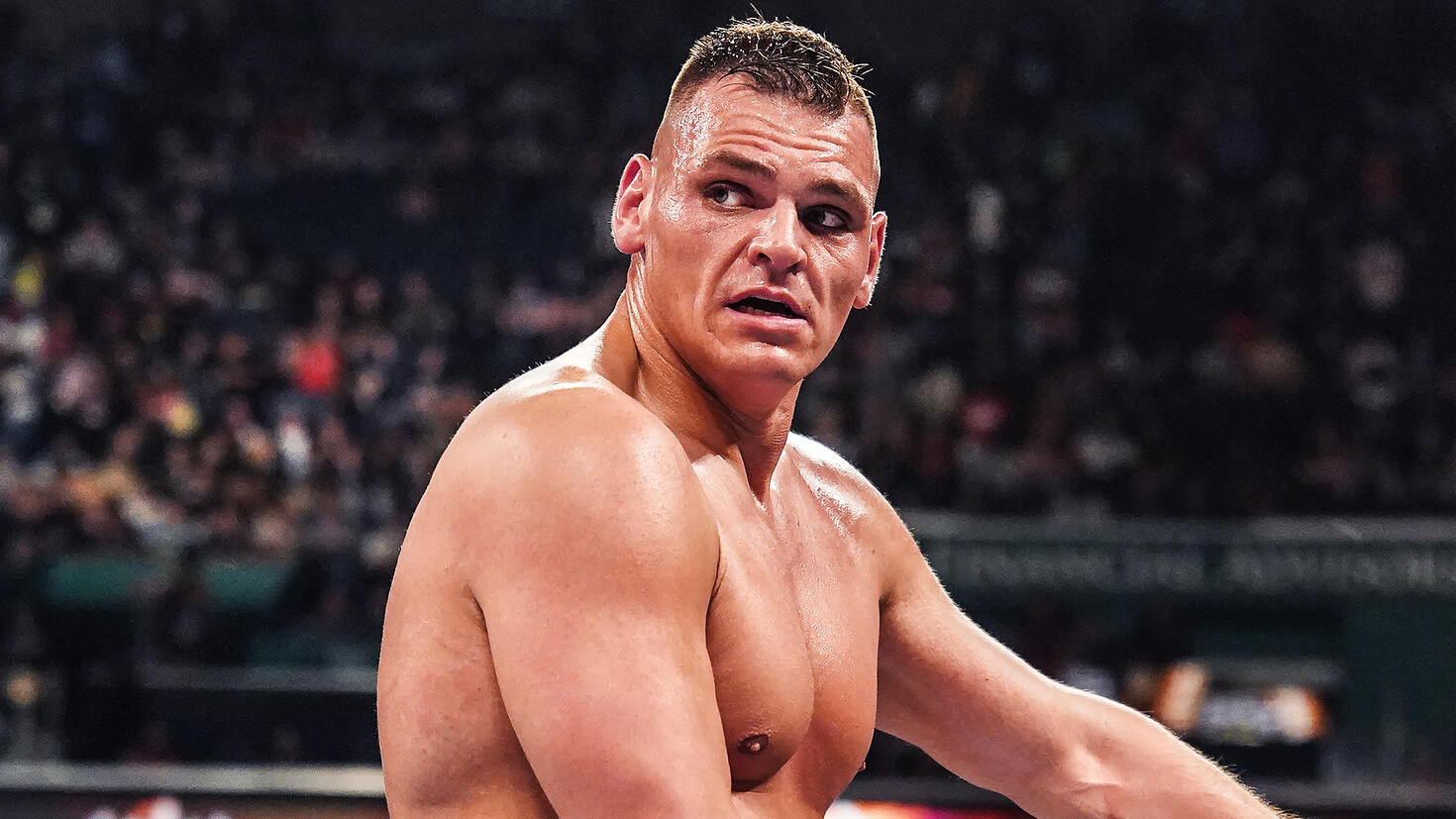 Videa (videos) - WWE RAW