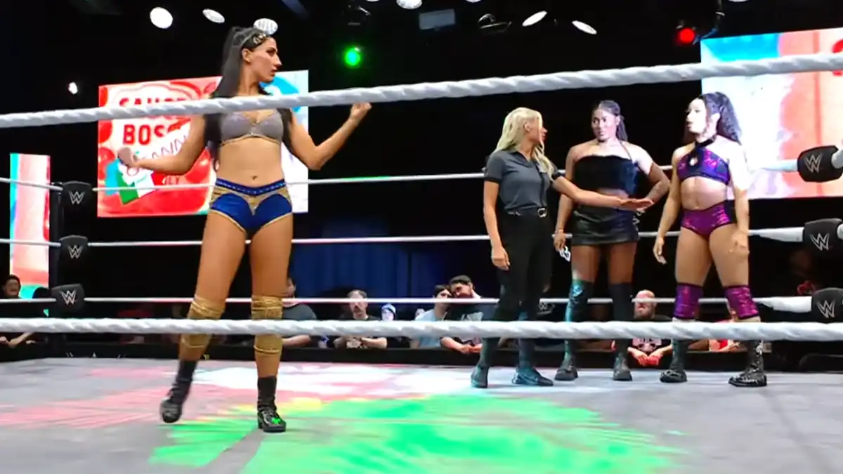 WWE Evolve