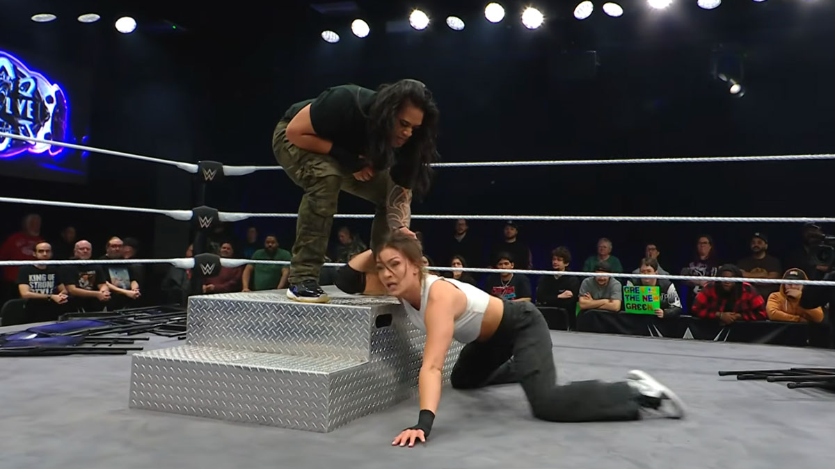 WWE Evolve
