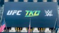 UFC, TKO & WWE