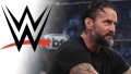 WWE & CM Punk