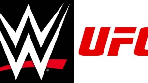 WWE & UFC
