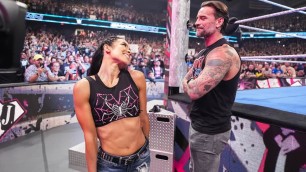 AJ Lee & CM Punk
