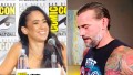 AJ Lee & CM Punk