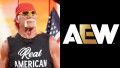 Hulk Hogan & AEW