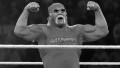 Hulk Hogan