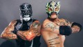 Penta & Rey Fenix