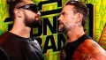 Seth Rollins & CM Punk