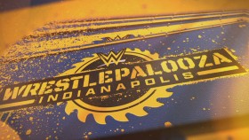 WWE Wrestlepalooza