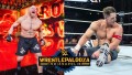 Brock Lesnar & John Cena
