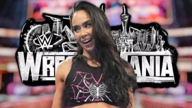 AJ Lee