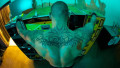 Randy Orton