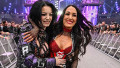 Paige & Brie Bella
