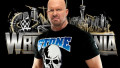 Stone Cold Steve Austin