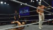 WWE Evolve