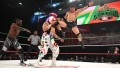 WWE Worlds Collide