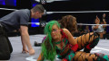 WWE Evolve