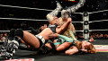 Výsledky (Results) - WWE RAW